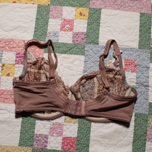 Ewa Michlak brown lace BM bra 85F - Picture 3 of 5